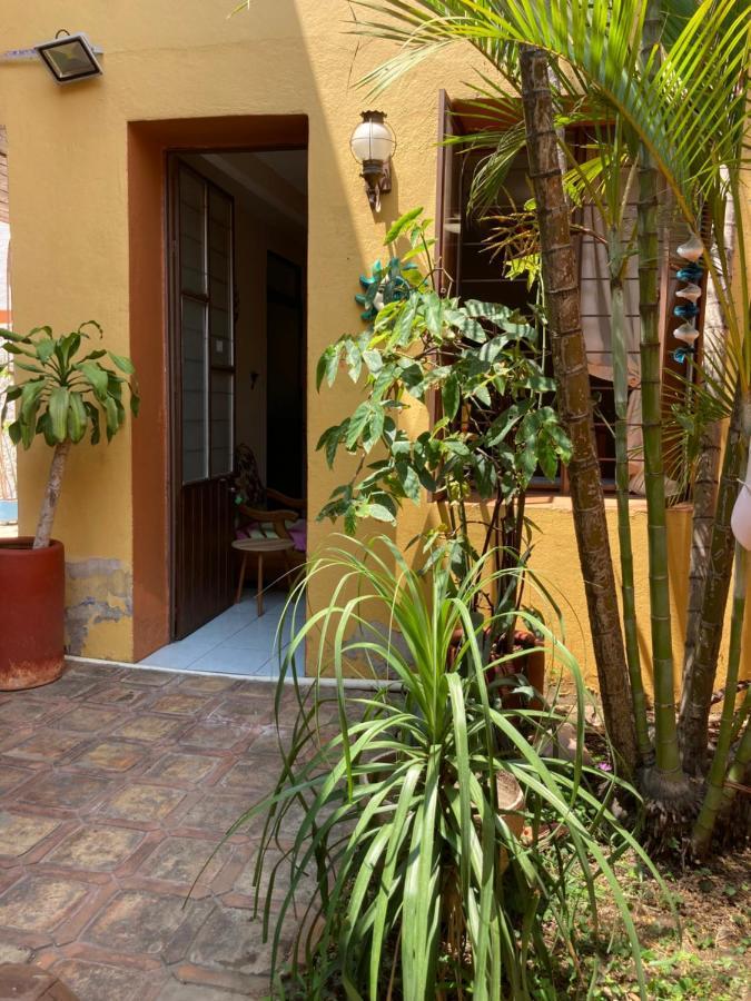 Cálida Habitación A 10 Min De Santo Domingo * Oaxaca